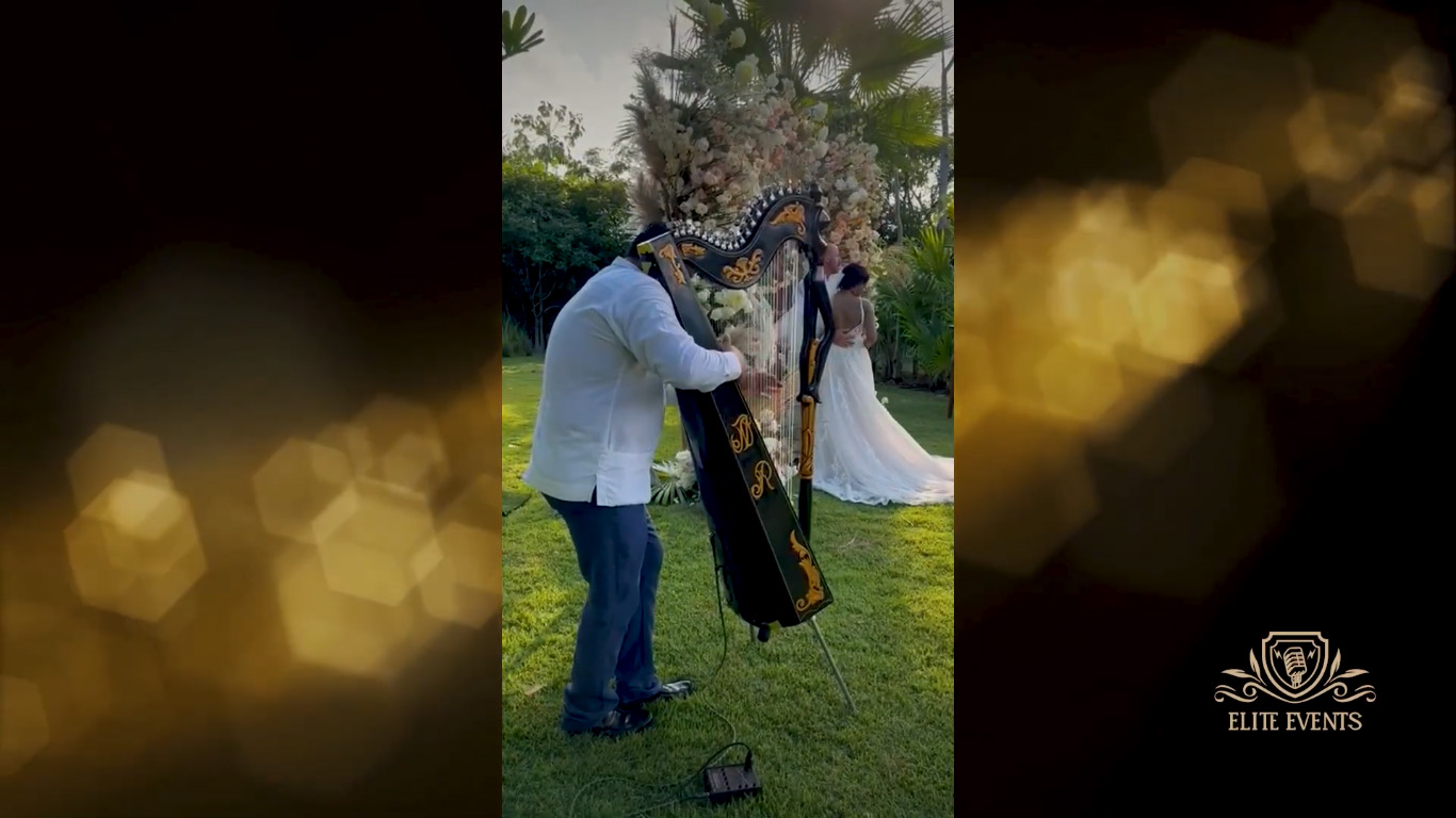 Músico ejecutando el arpa en una boda
